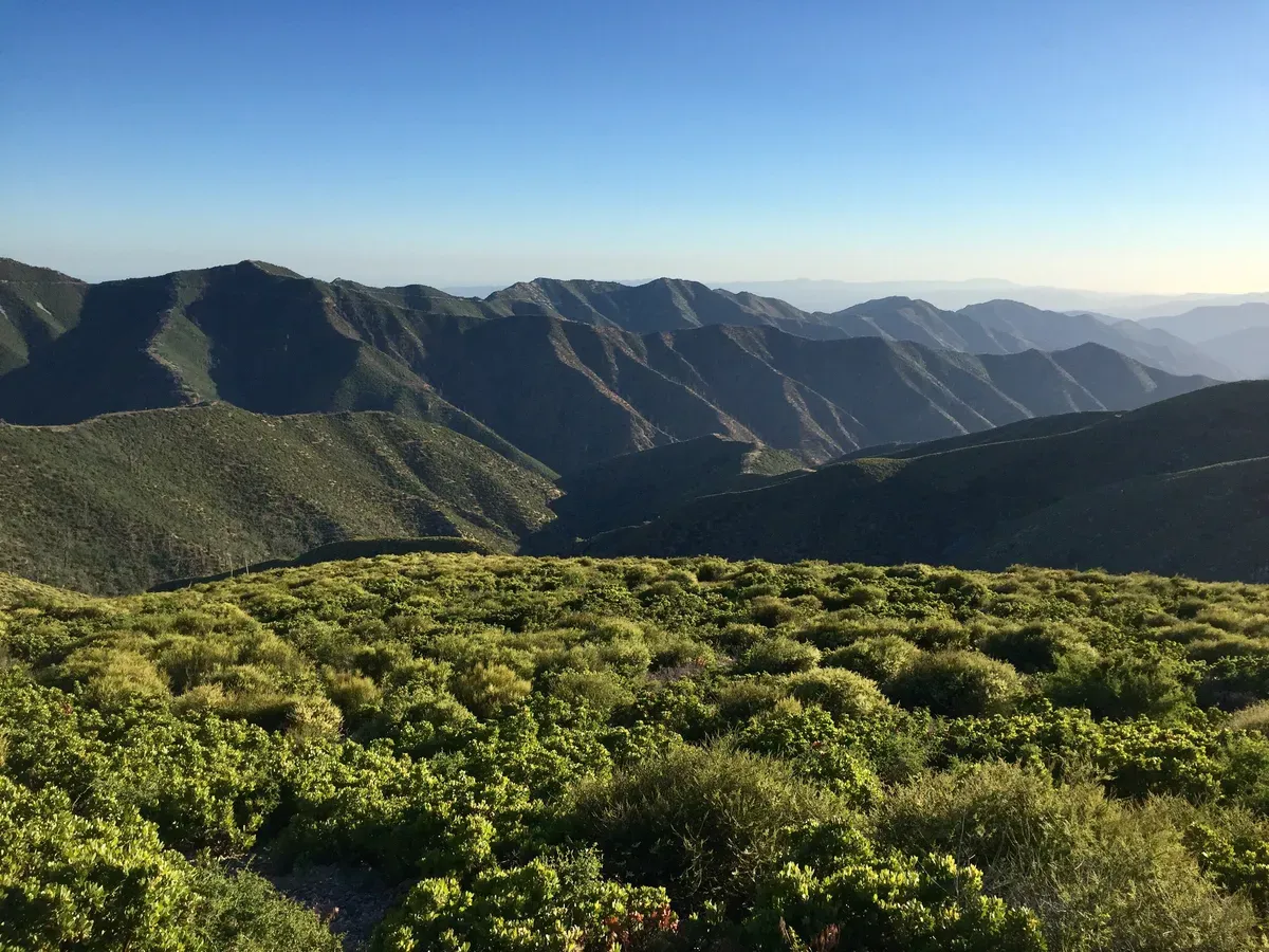 Day 23 – Back to the wilderness
