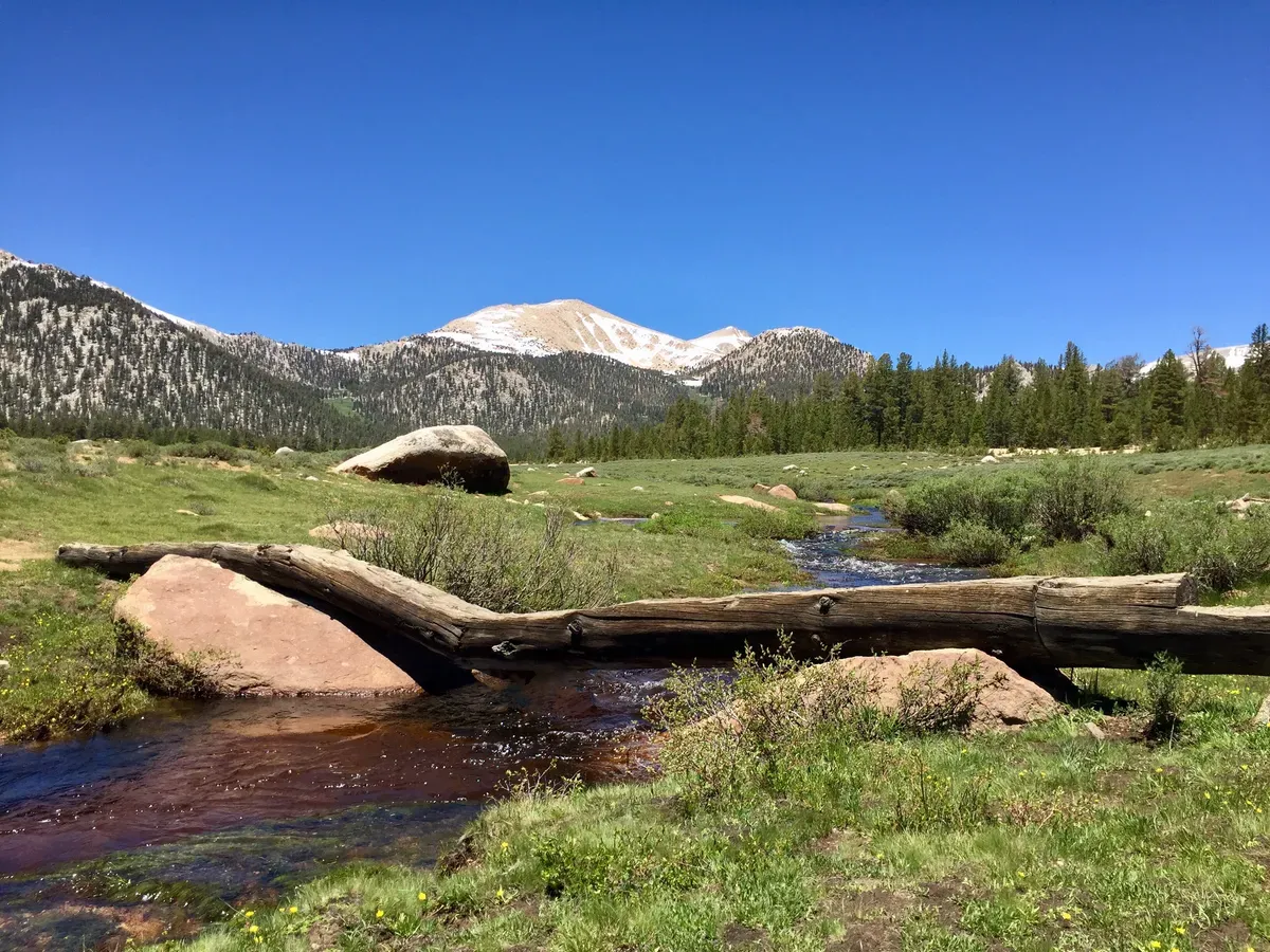 Day 37 – Nearo into Lone Pine
