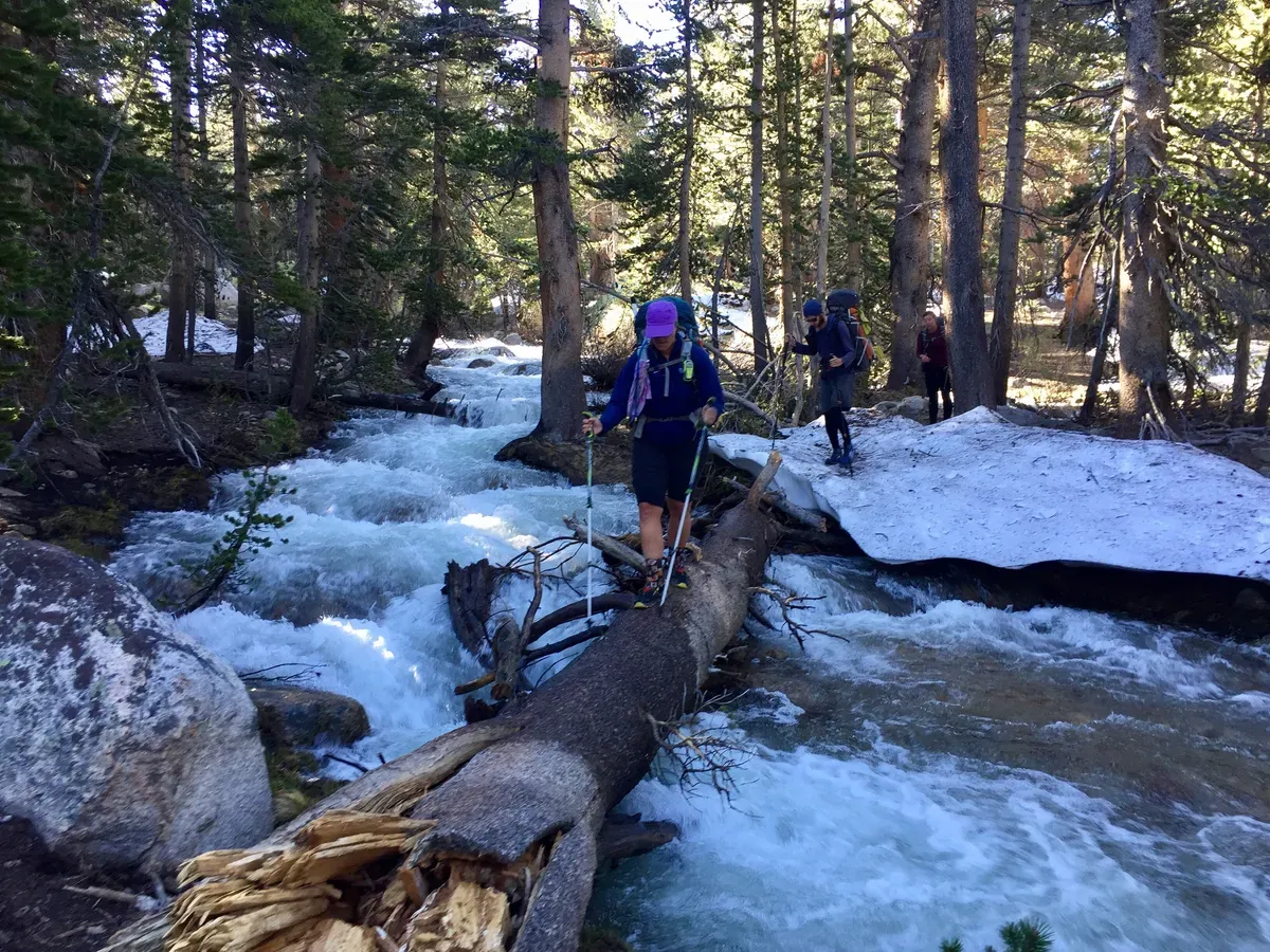 Savage crossing
