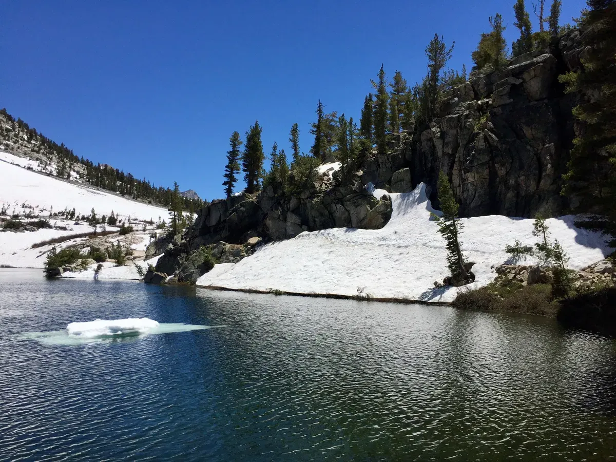 Where Dodger almost went swimming… again.