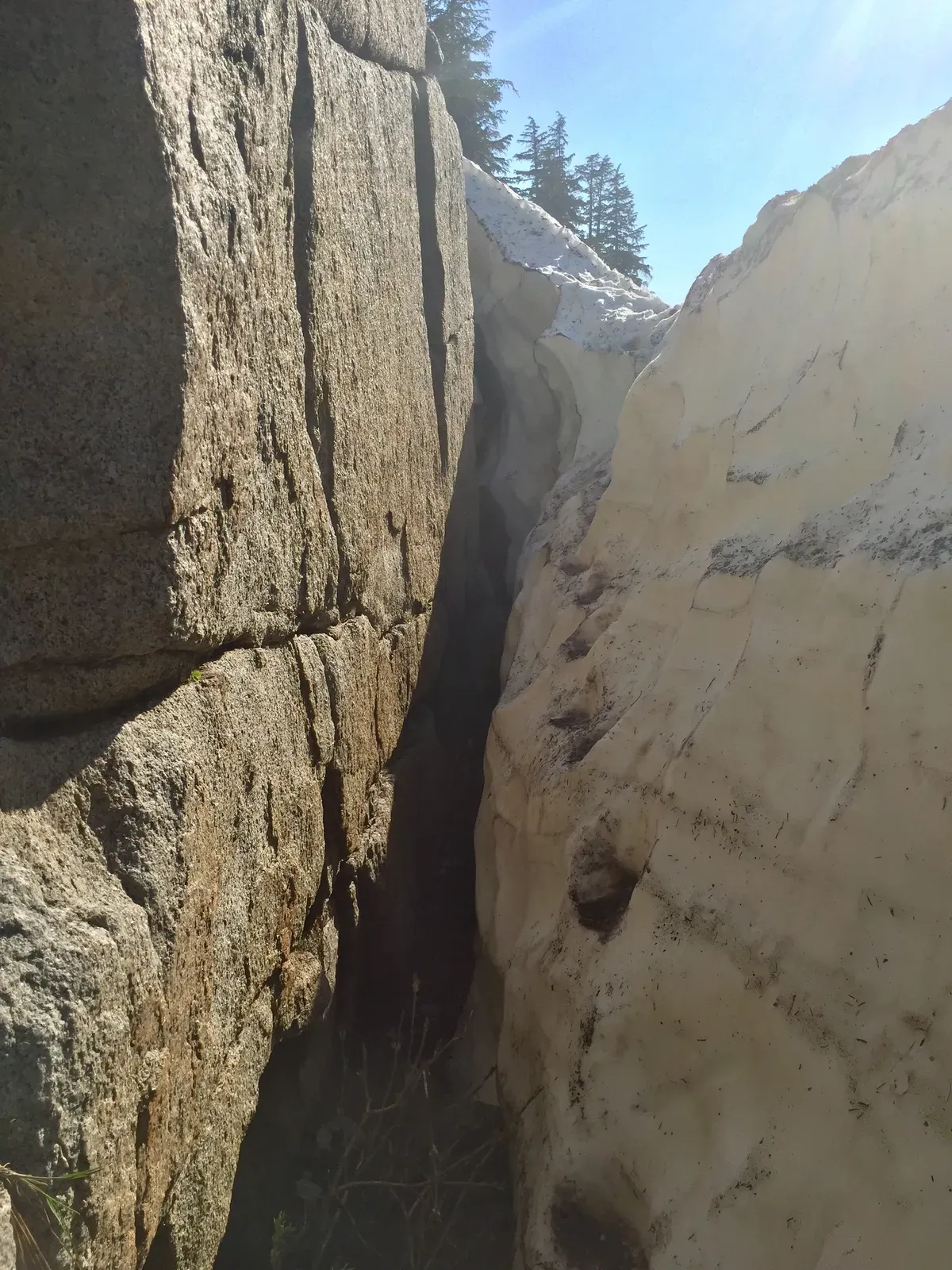 Yep, just climb on up!
