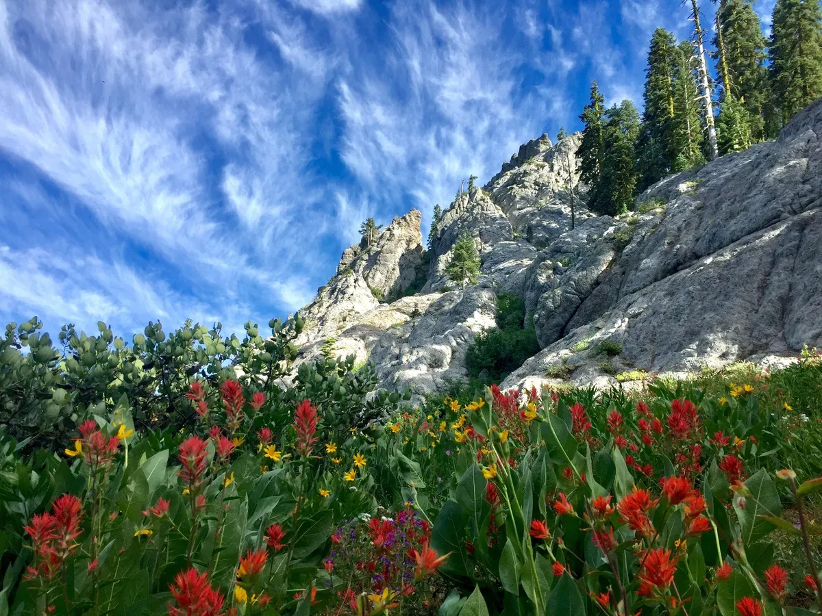 Day 64 – I Like Big Buttes