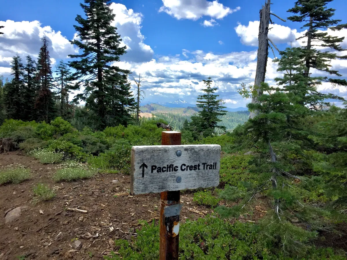 Day 67 – Ohhhhh, we’re halfway there!