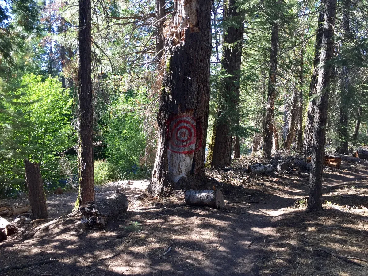 Somebody painted a bullseye, this has to be it!