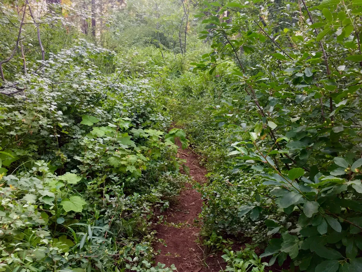 This was one of the GOOD sections