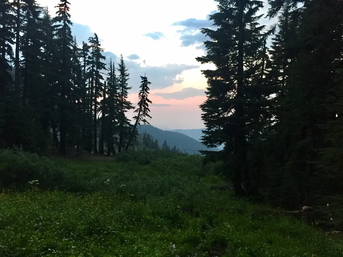 Nice view from the spring