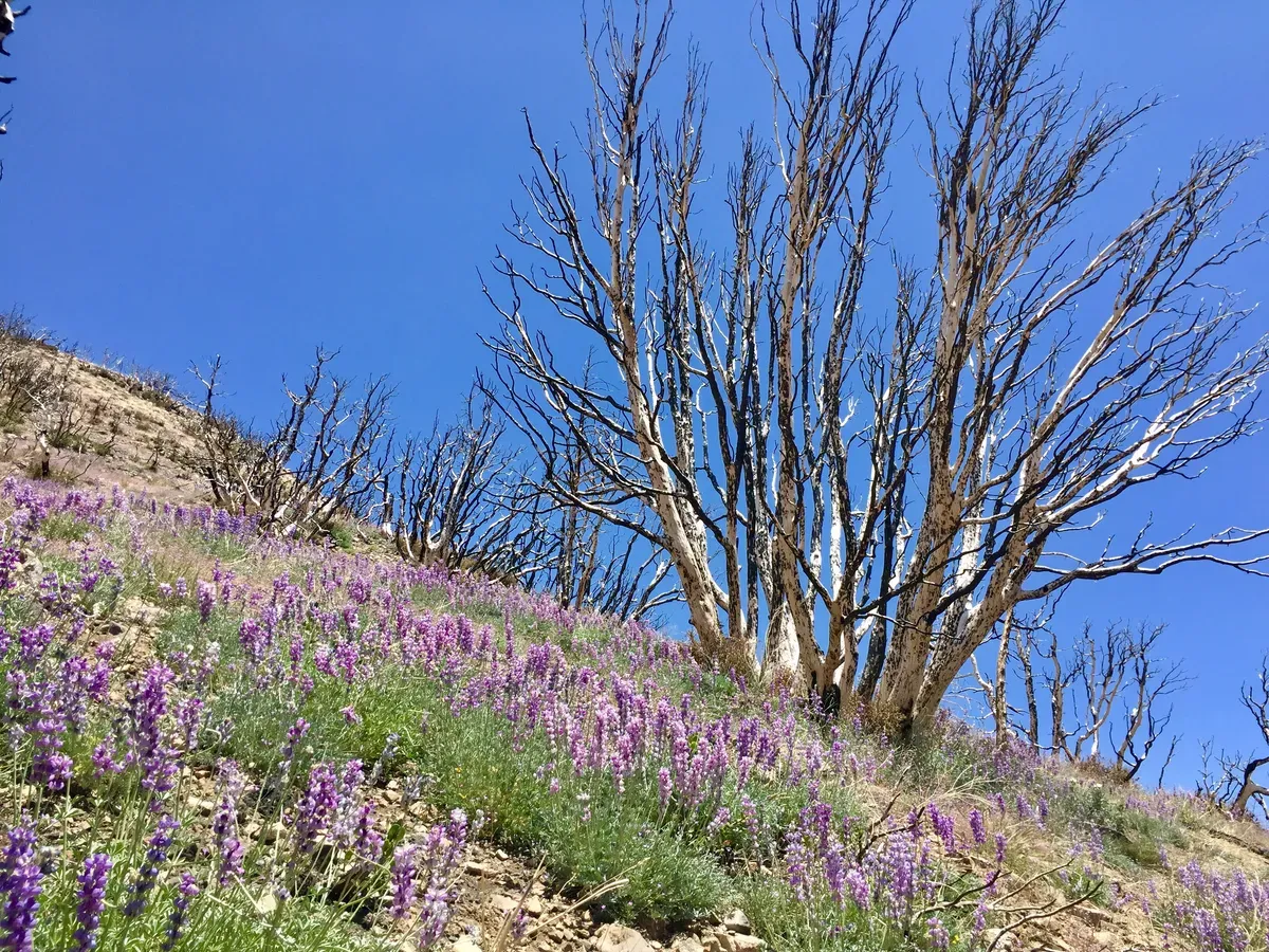 Day 12 – Feel (and see) the burn