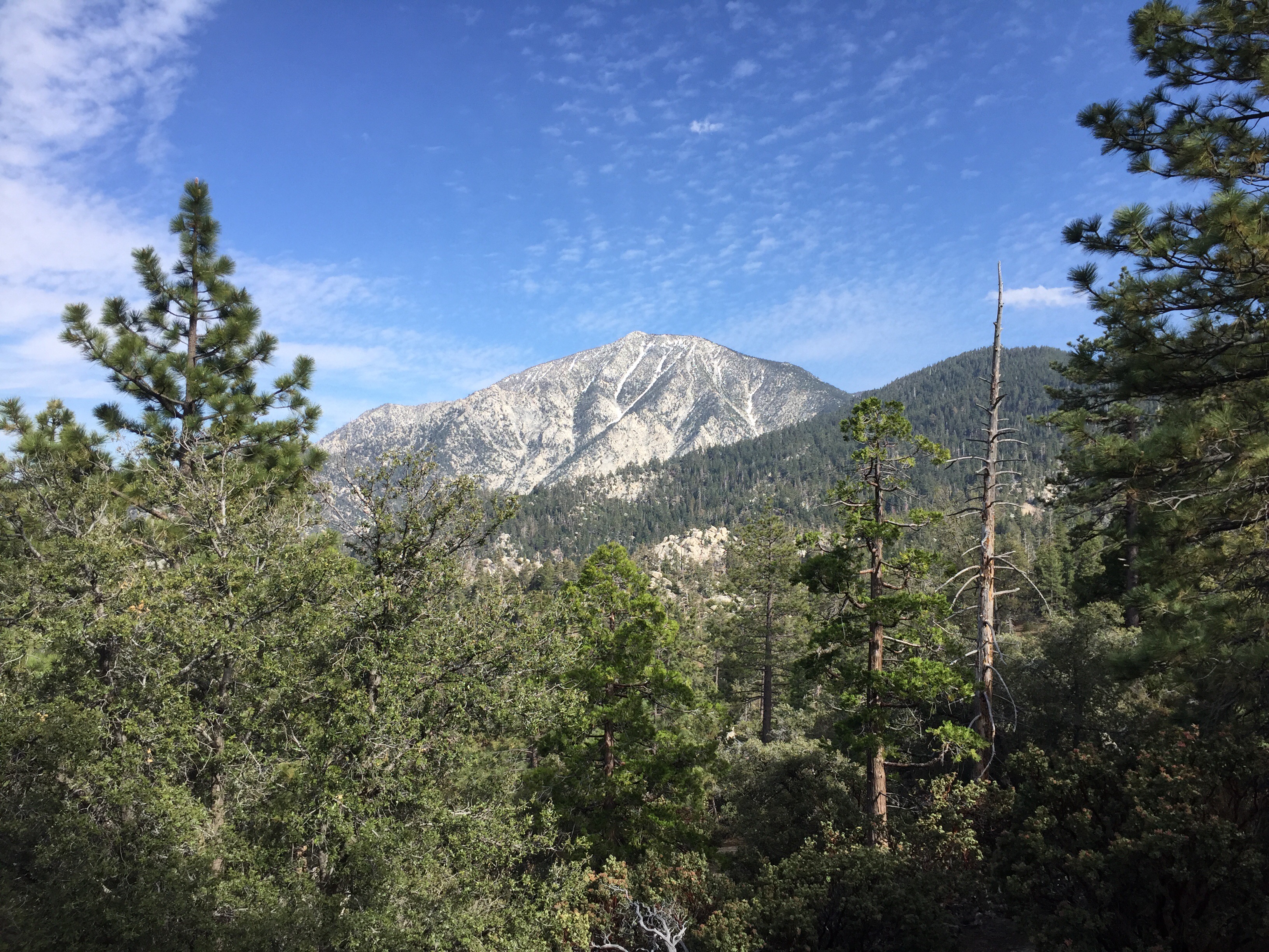 Day 11 – Up and Down and Up Again
