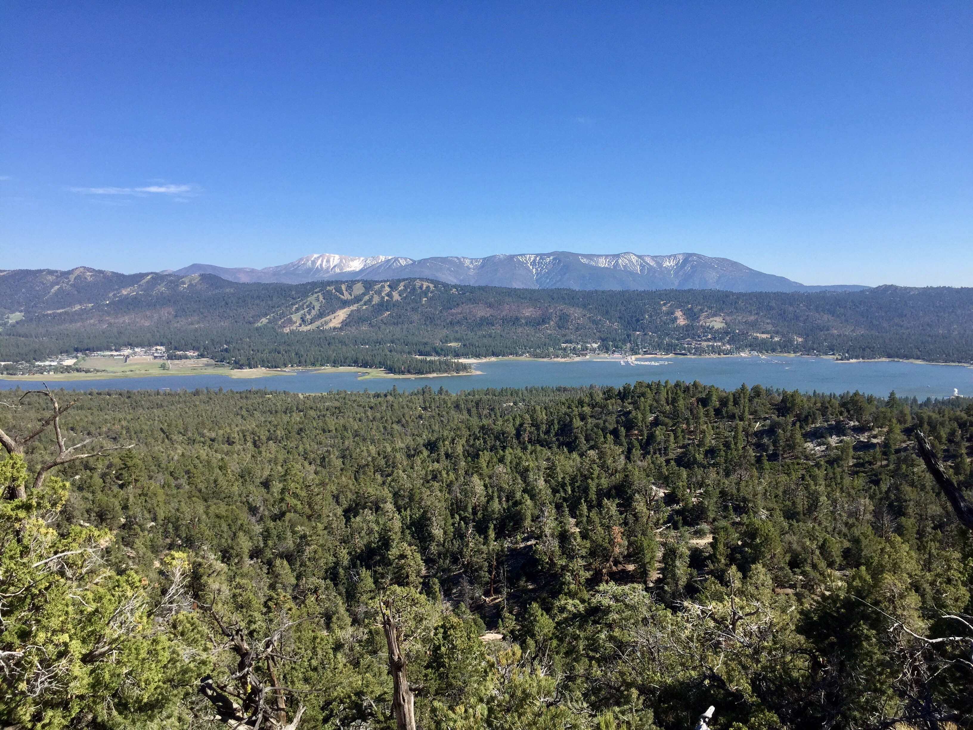 Day 15 – On the road again…