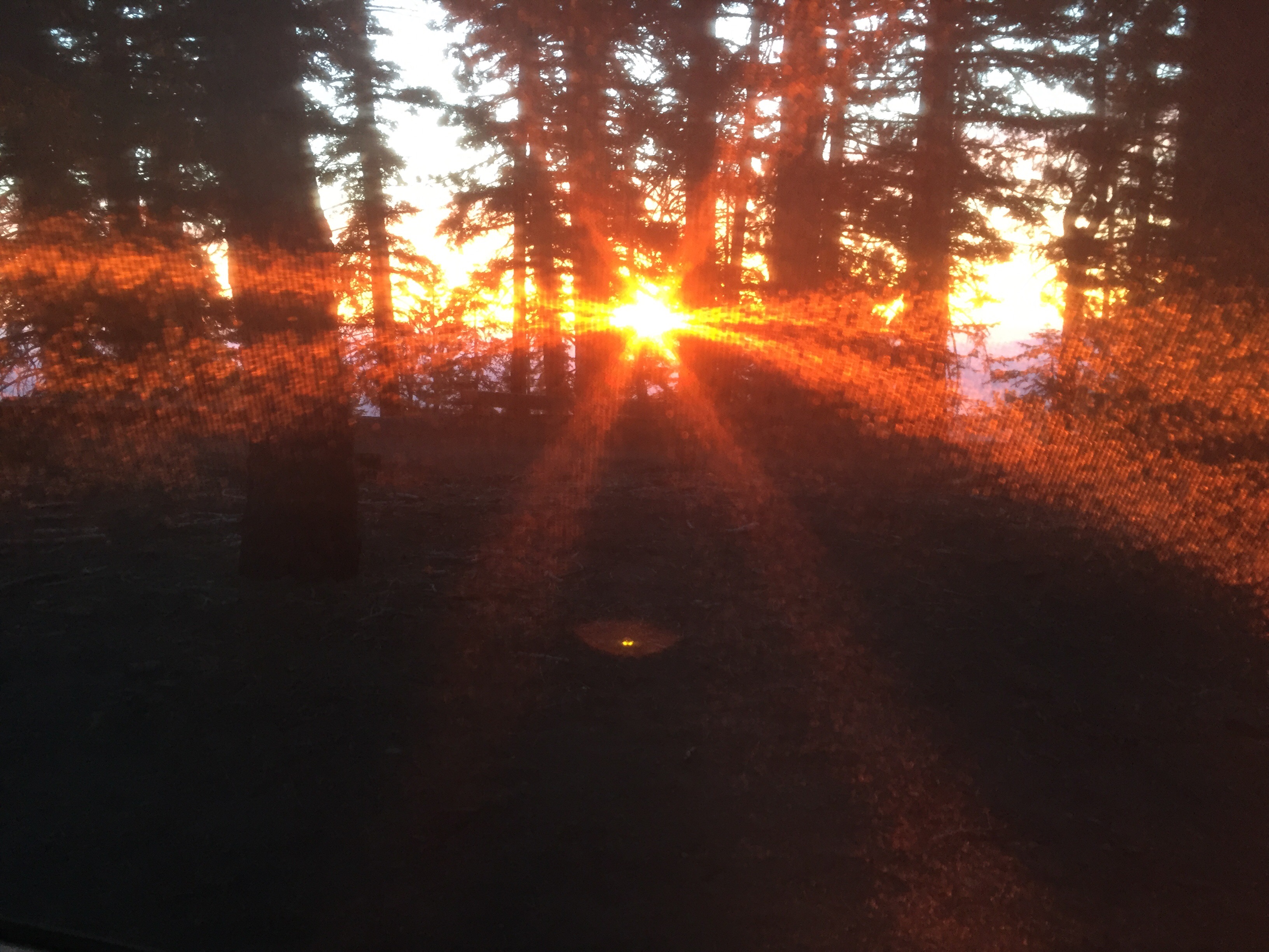 Day 19 – The Road to LA