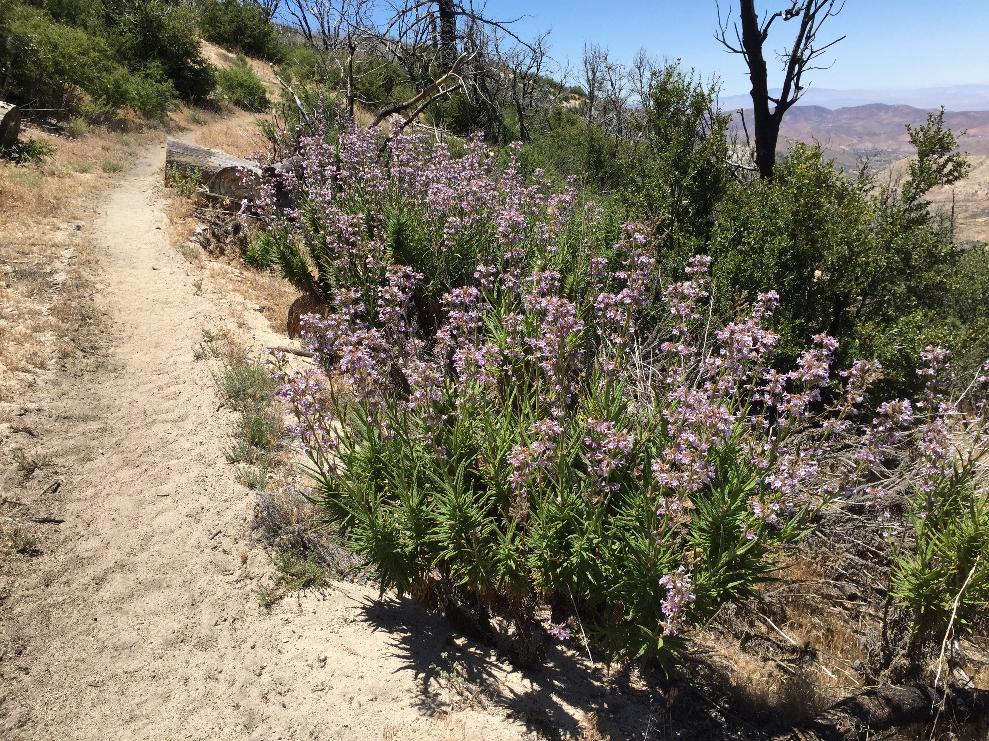 Day 23 – Back to the wilderness