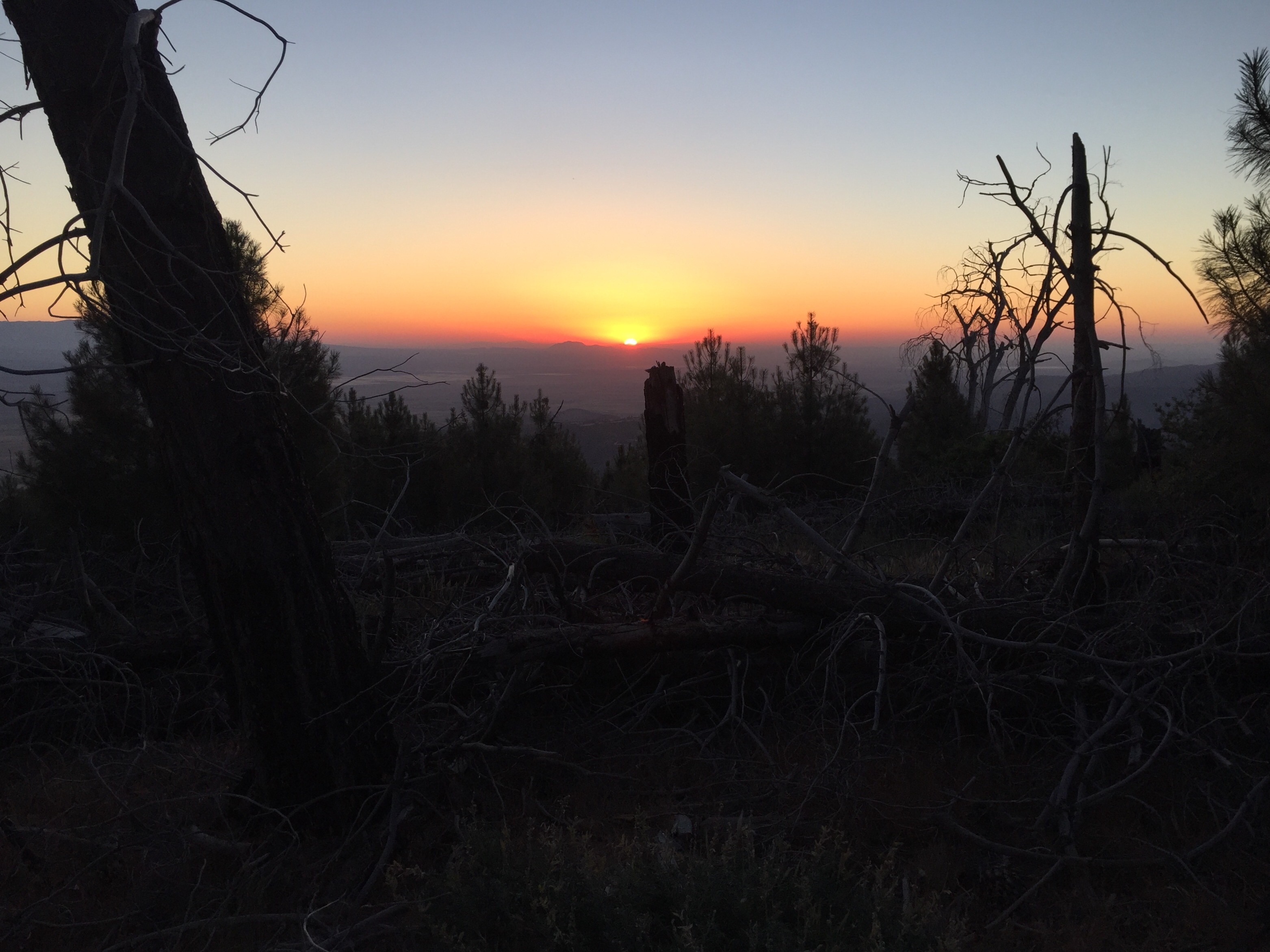 Day 27 – I’m melting…
