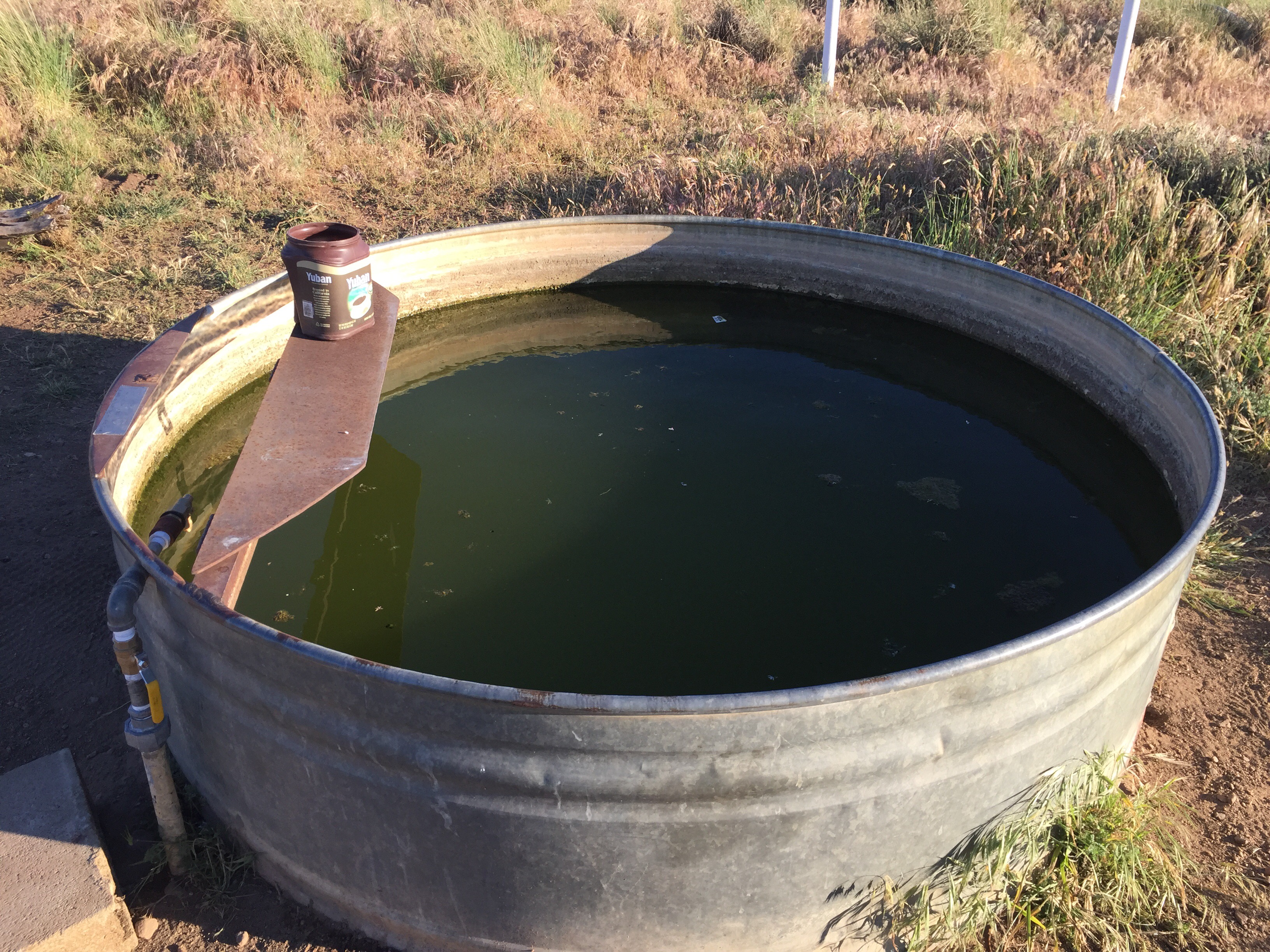 Day 3 – Horse Water