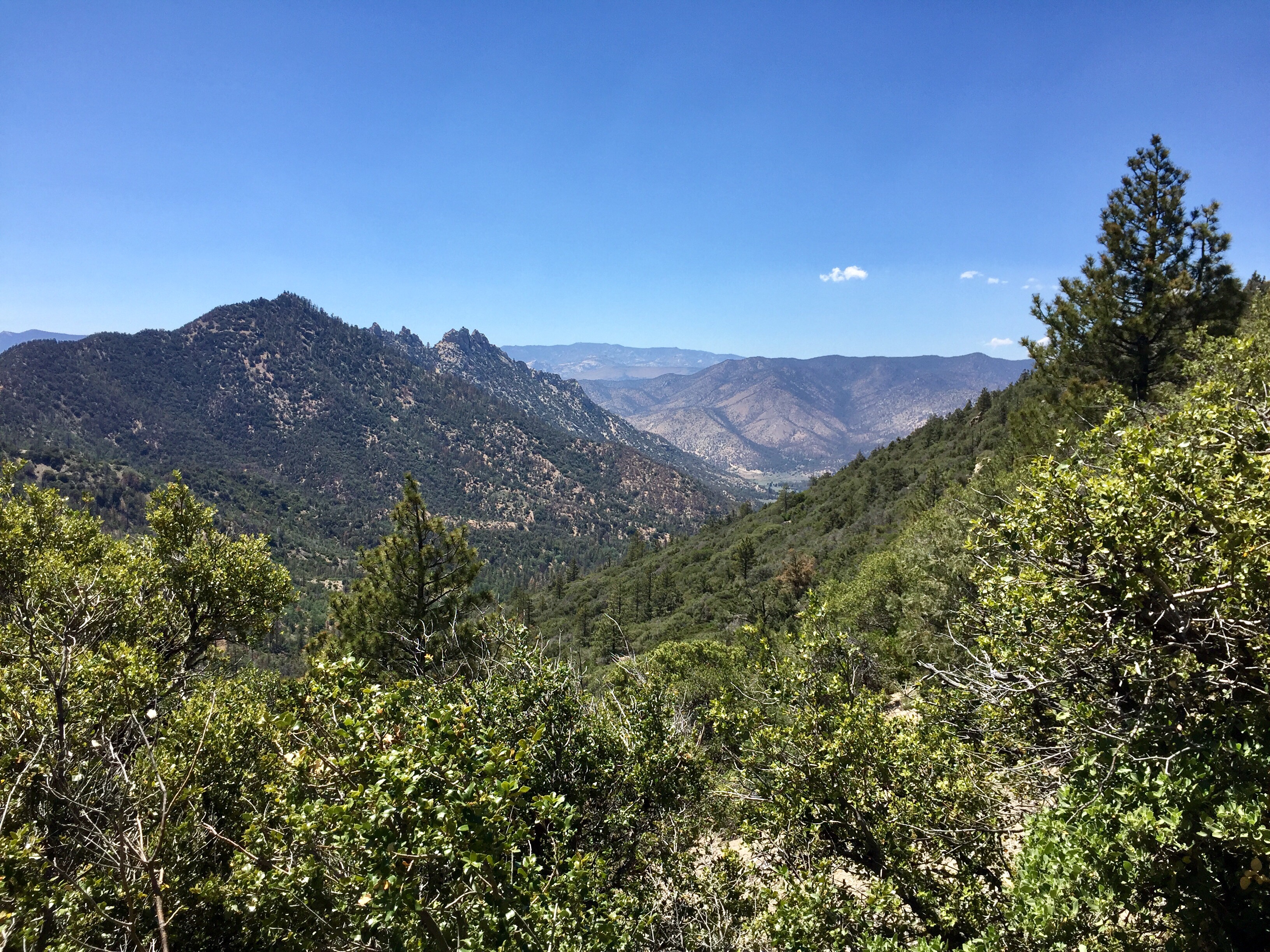 Day 33 – Diurnal Life