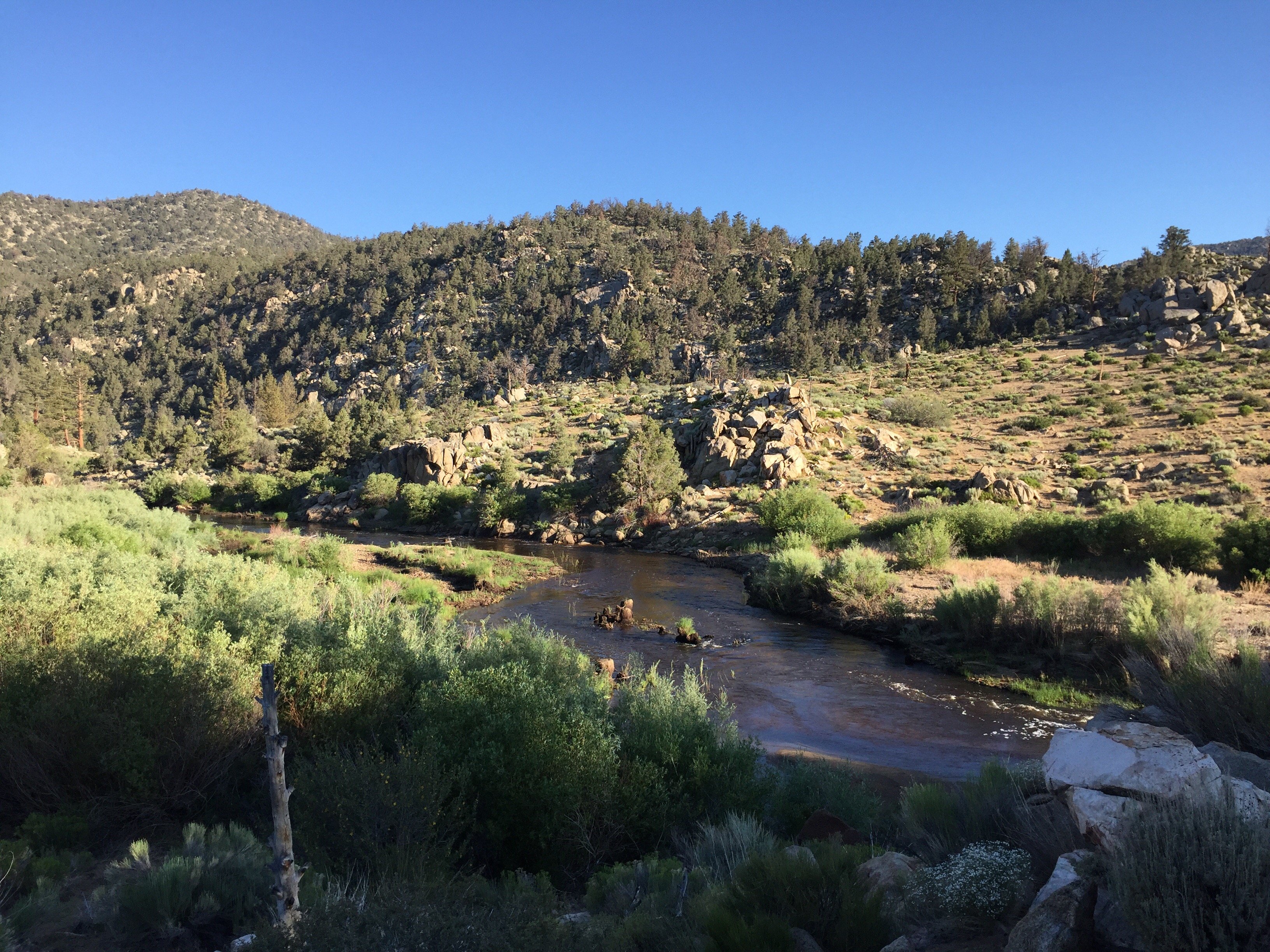 Day 34 – The Promised Land