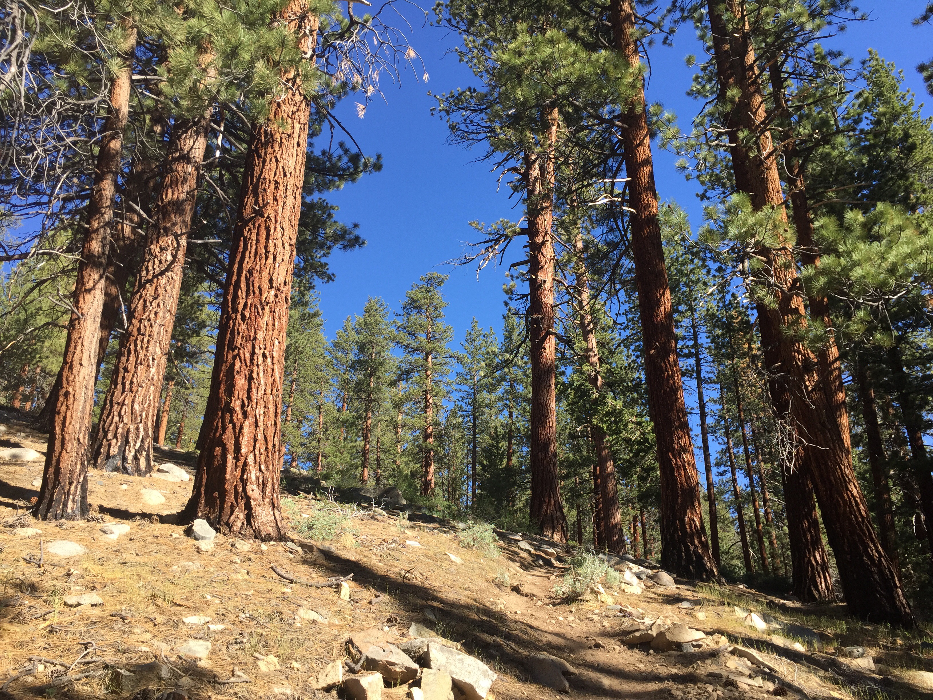 Day 36 – The ascent begins