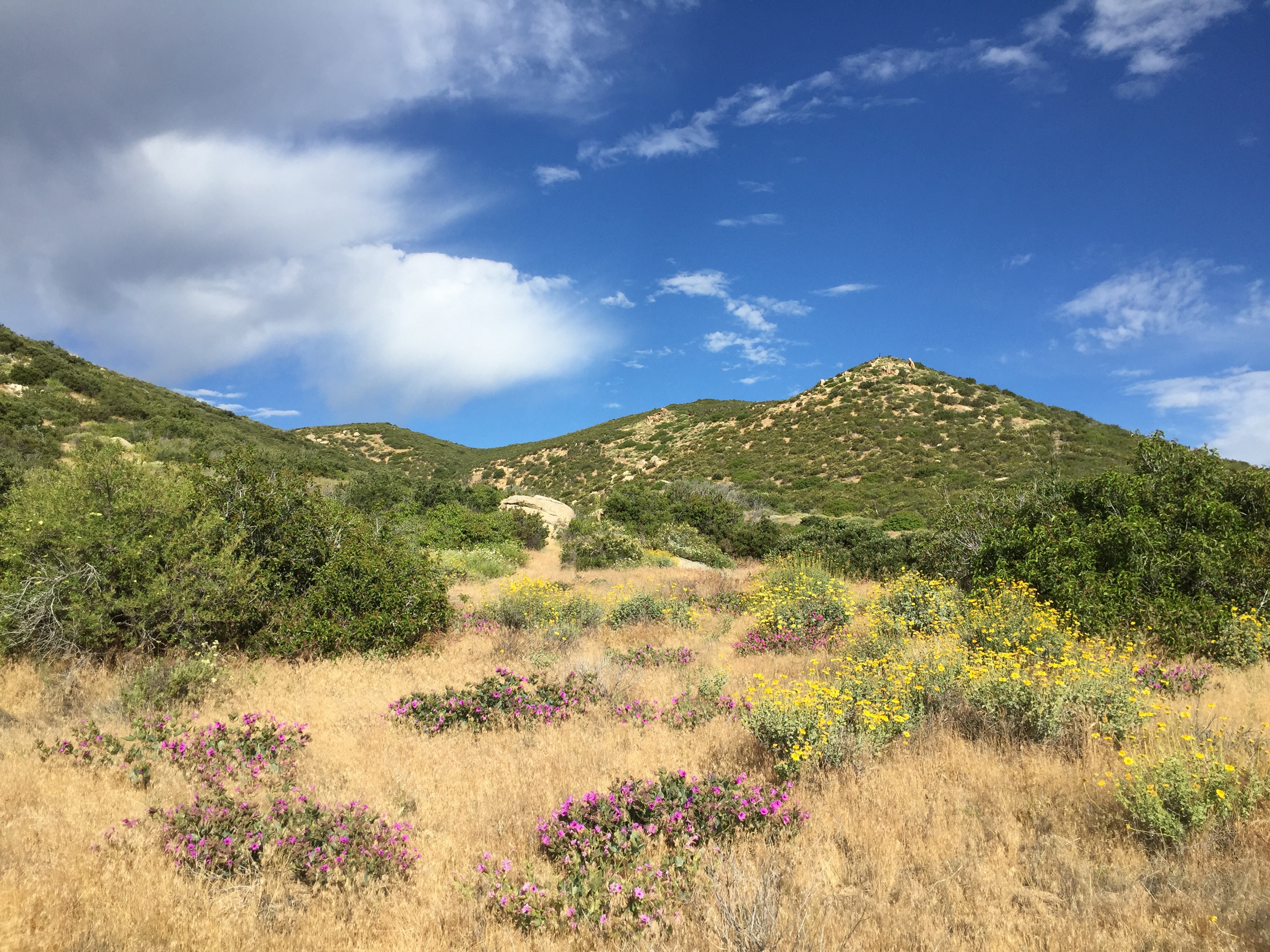 Day 4 – To Julian and Beyond