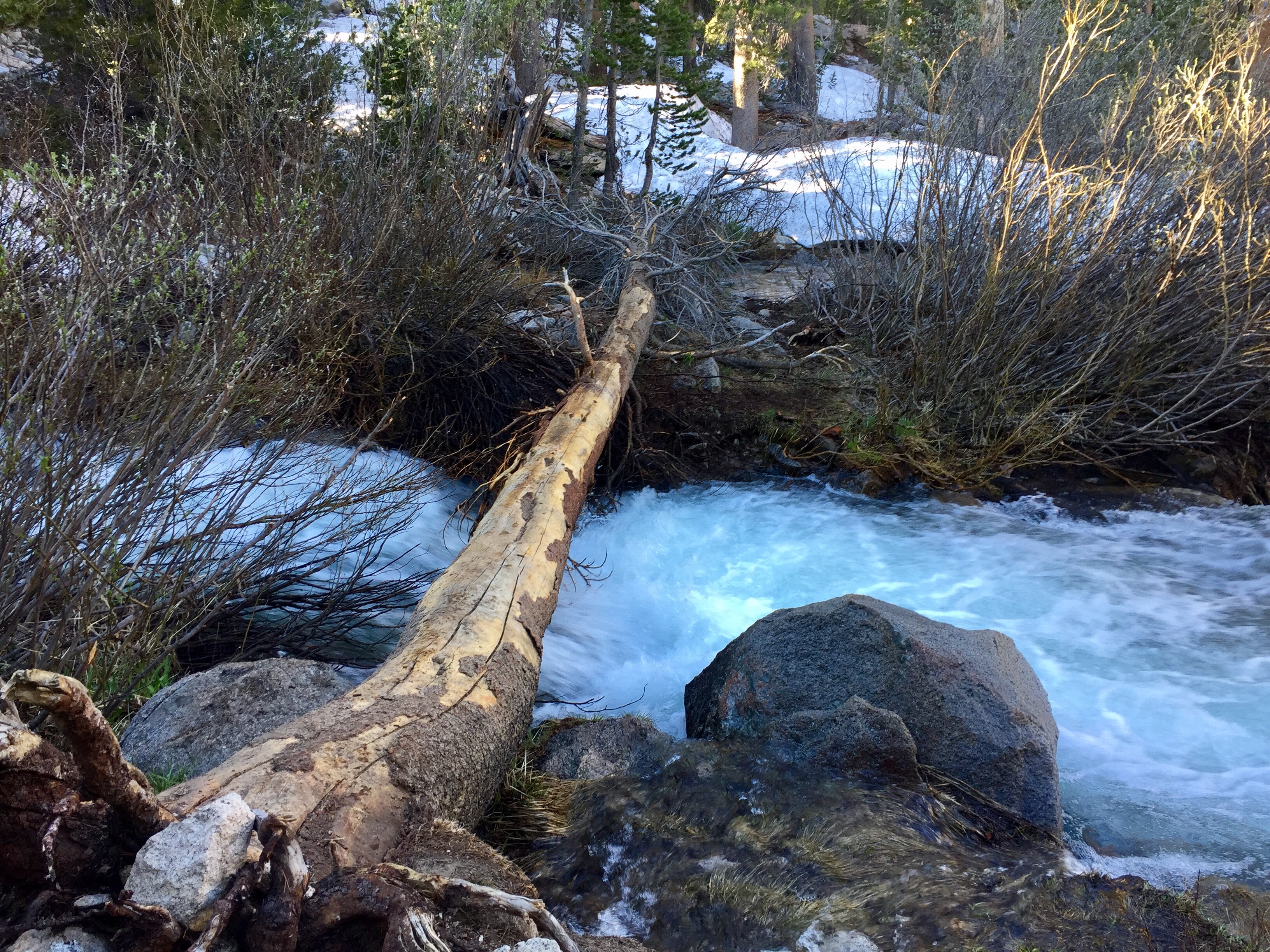 Day 42 – Kearsarge Pass into Bishop