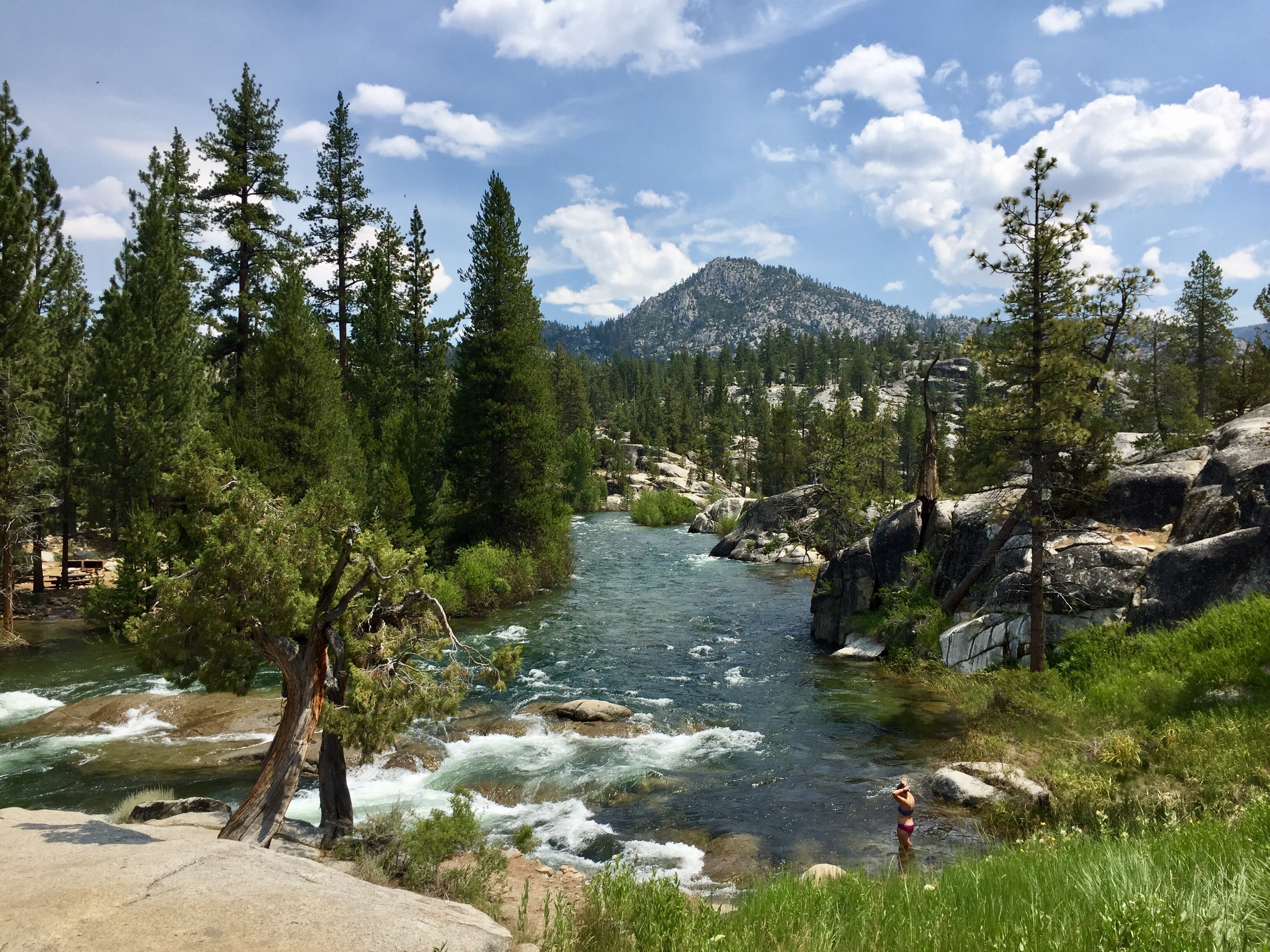 Day 51 – The Last Hurrah