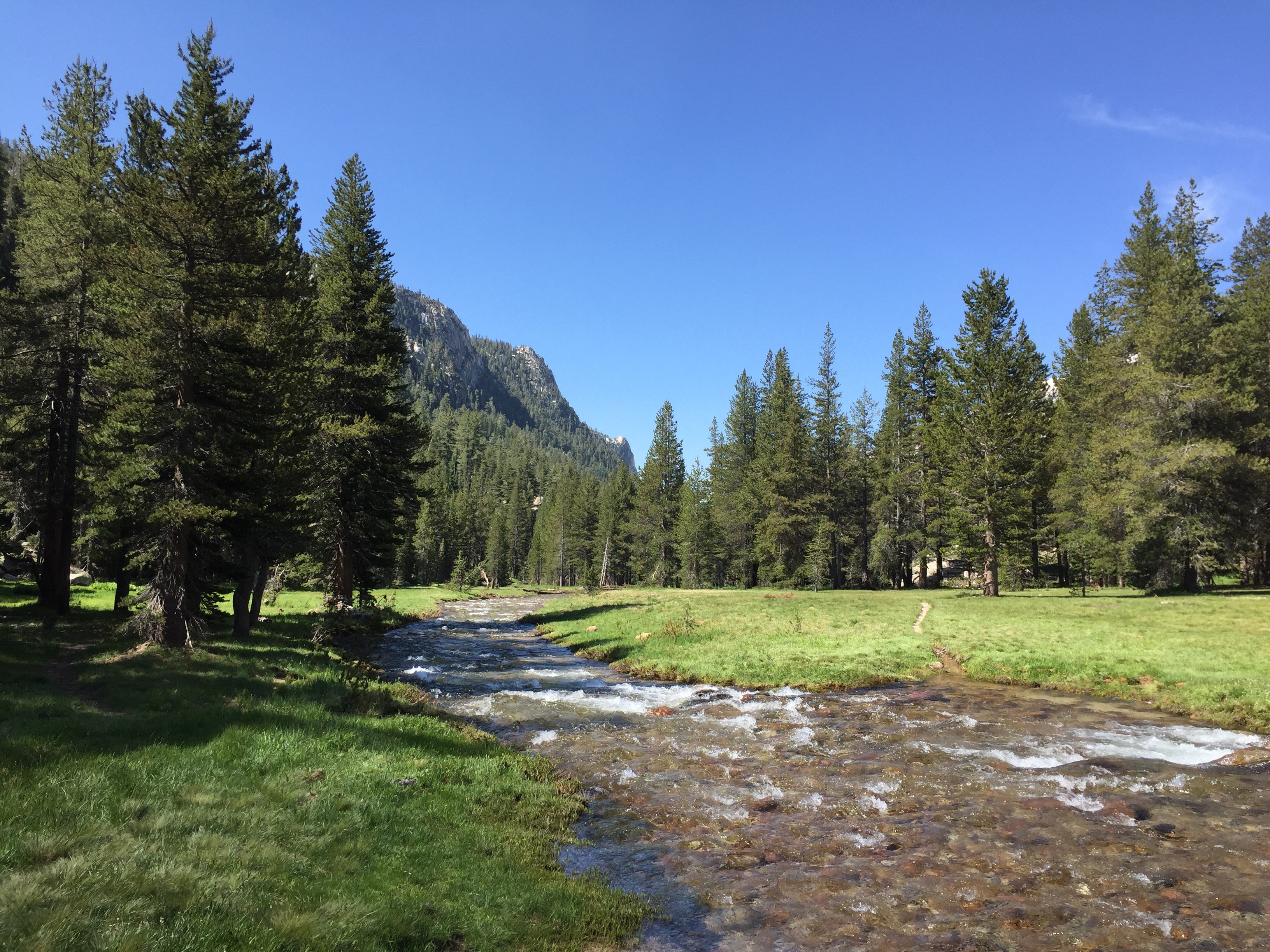 Day 55 – Lost in the woods