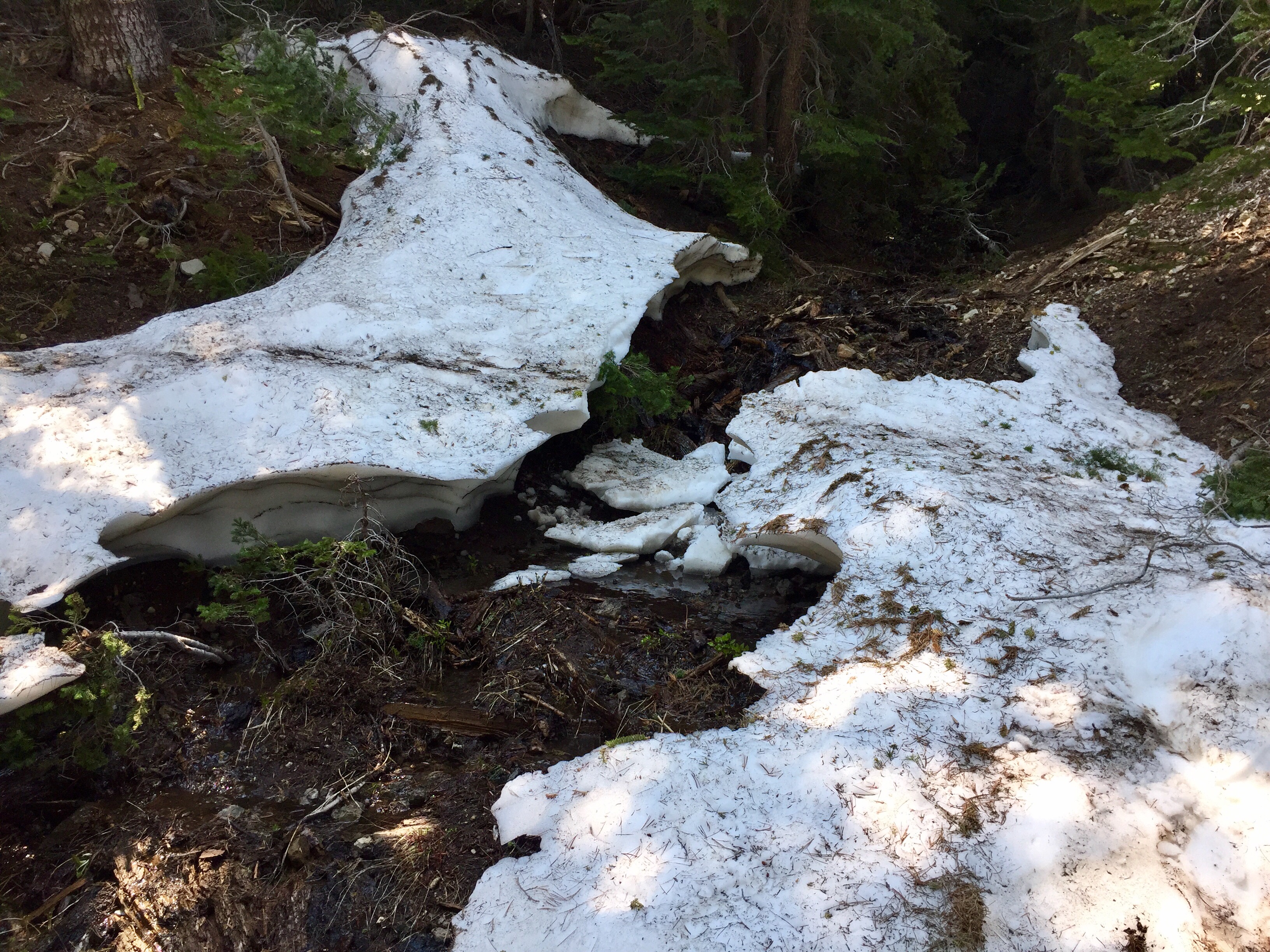 Day 61 – Going Skiing