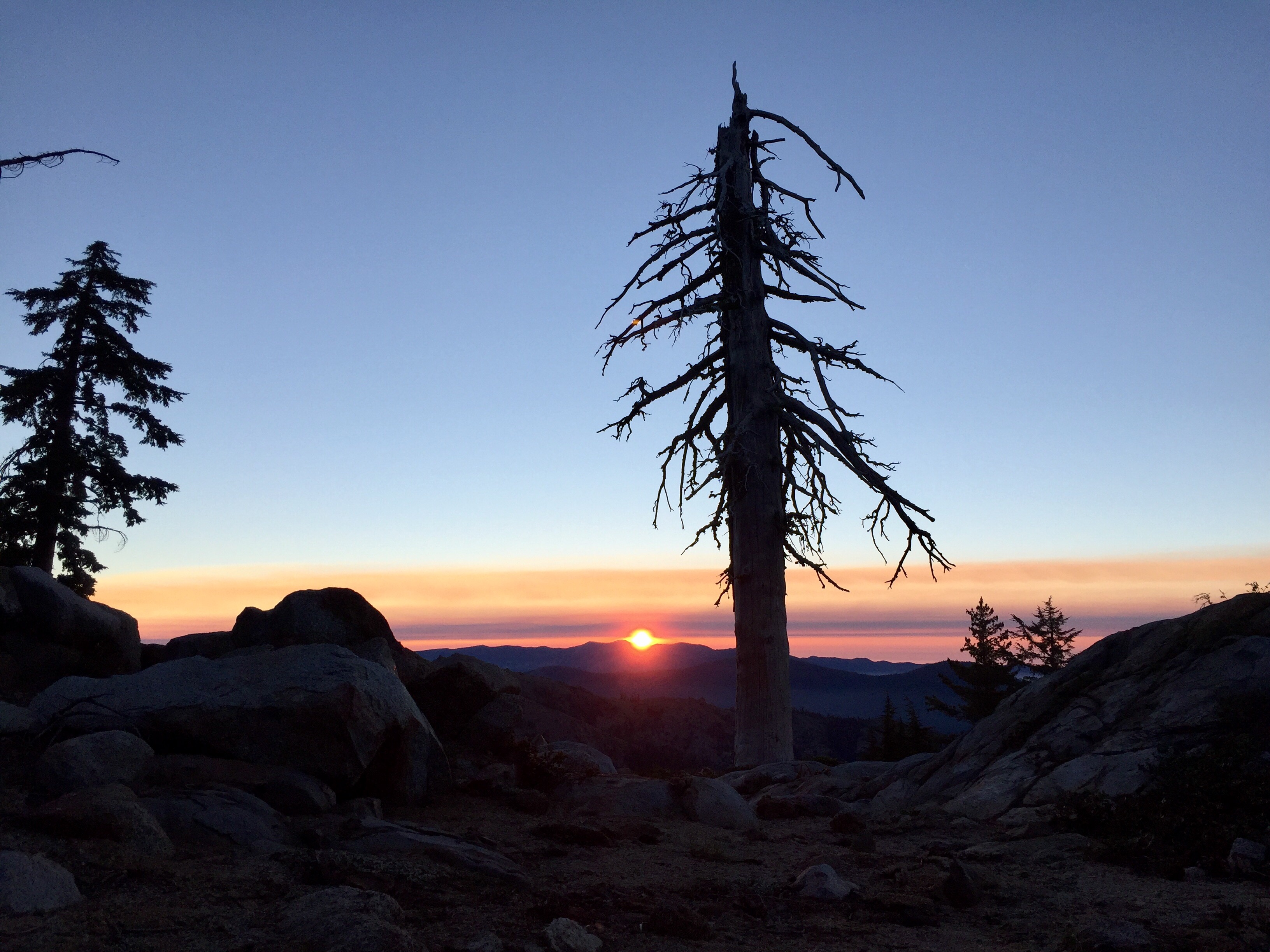 Day 62 – I can see clearly now