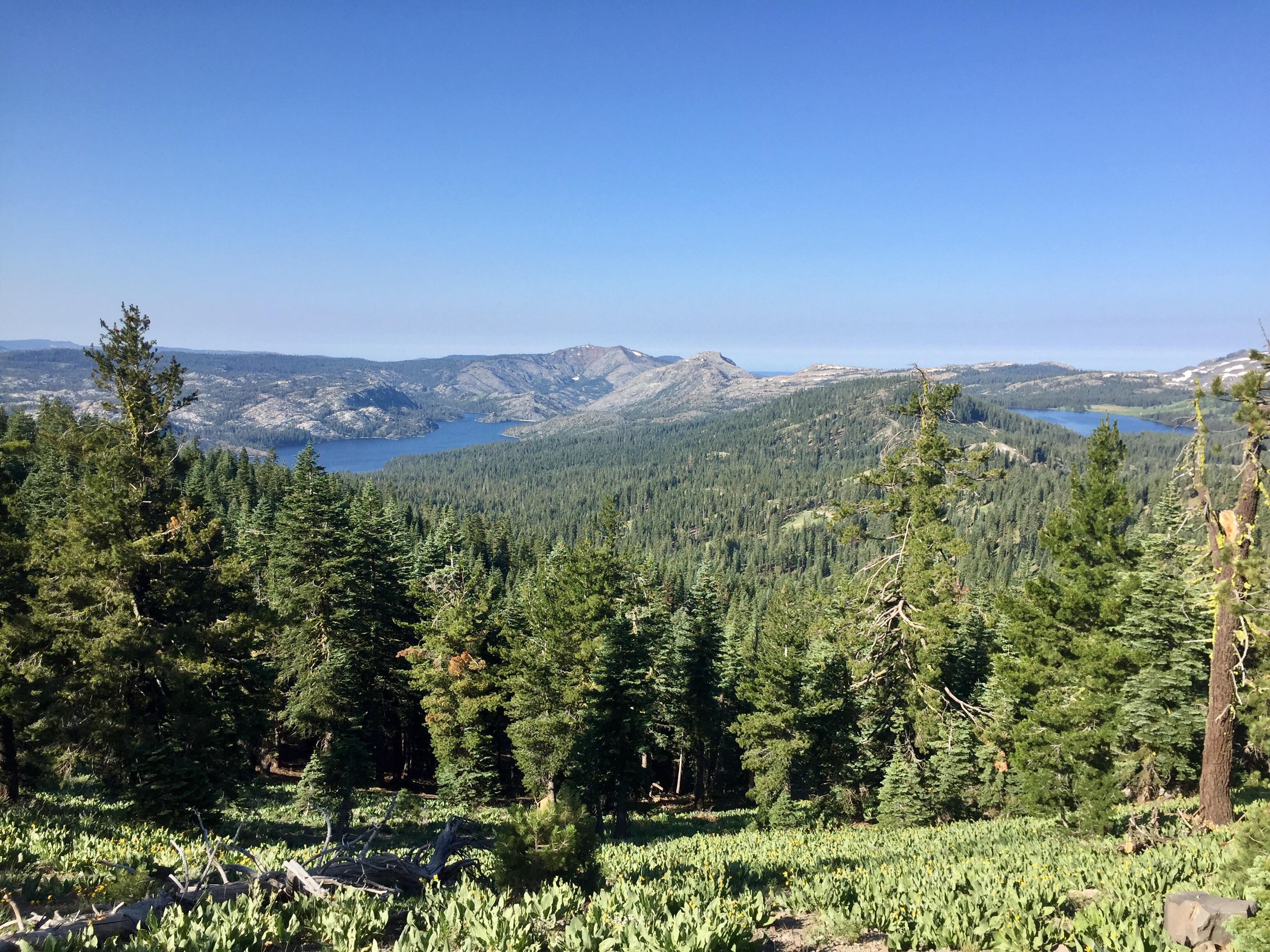 Day 63 – Well Done
