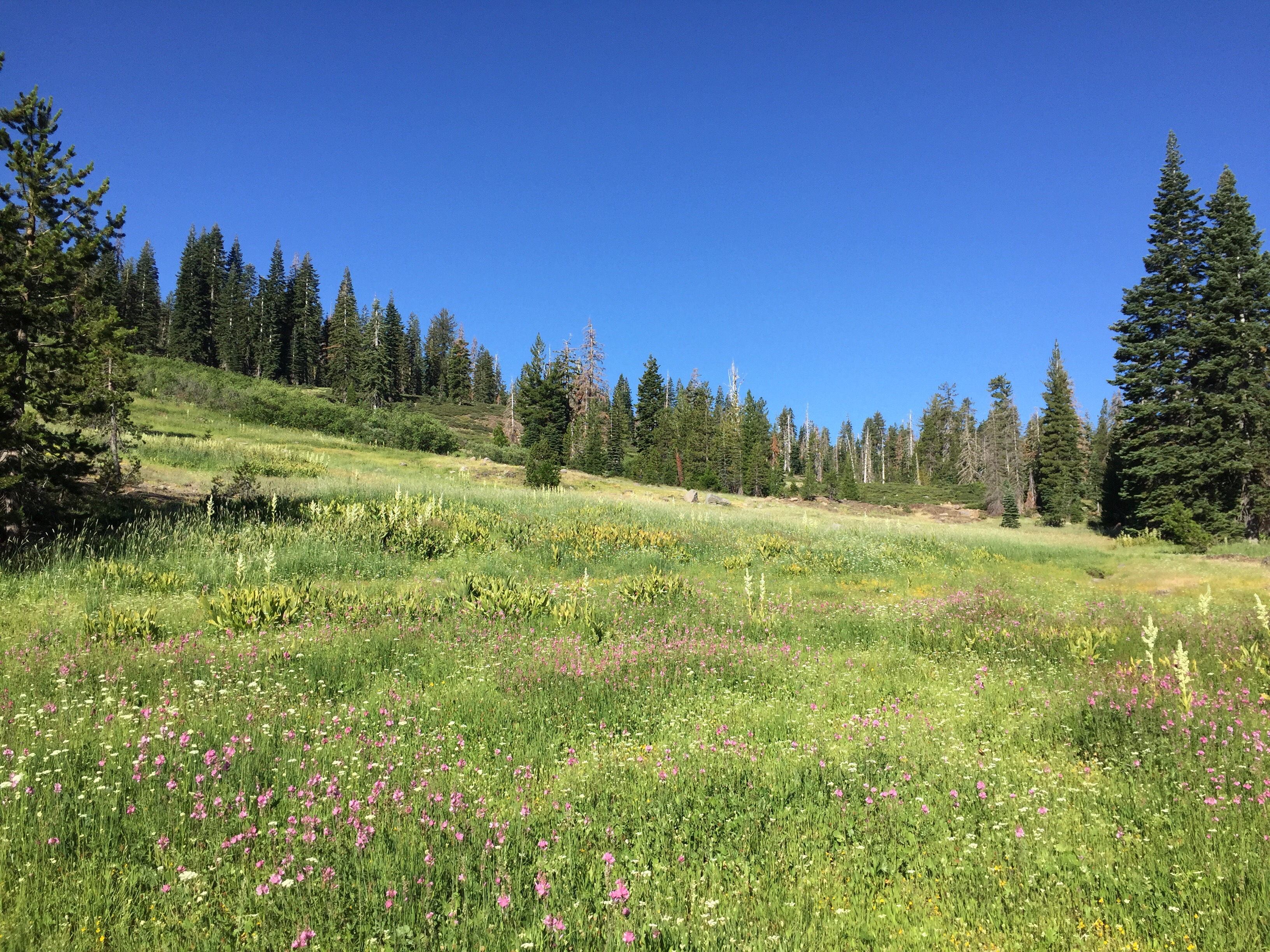 Day 67 – Ohhhhh, we’re halfway there!