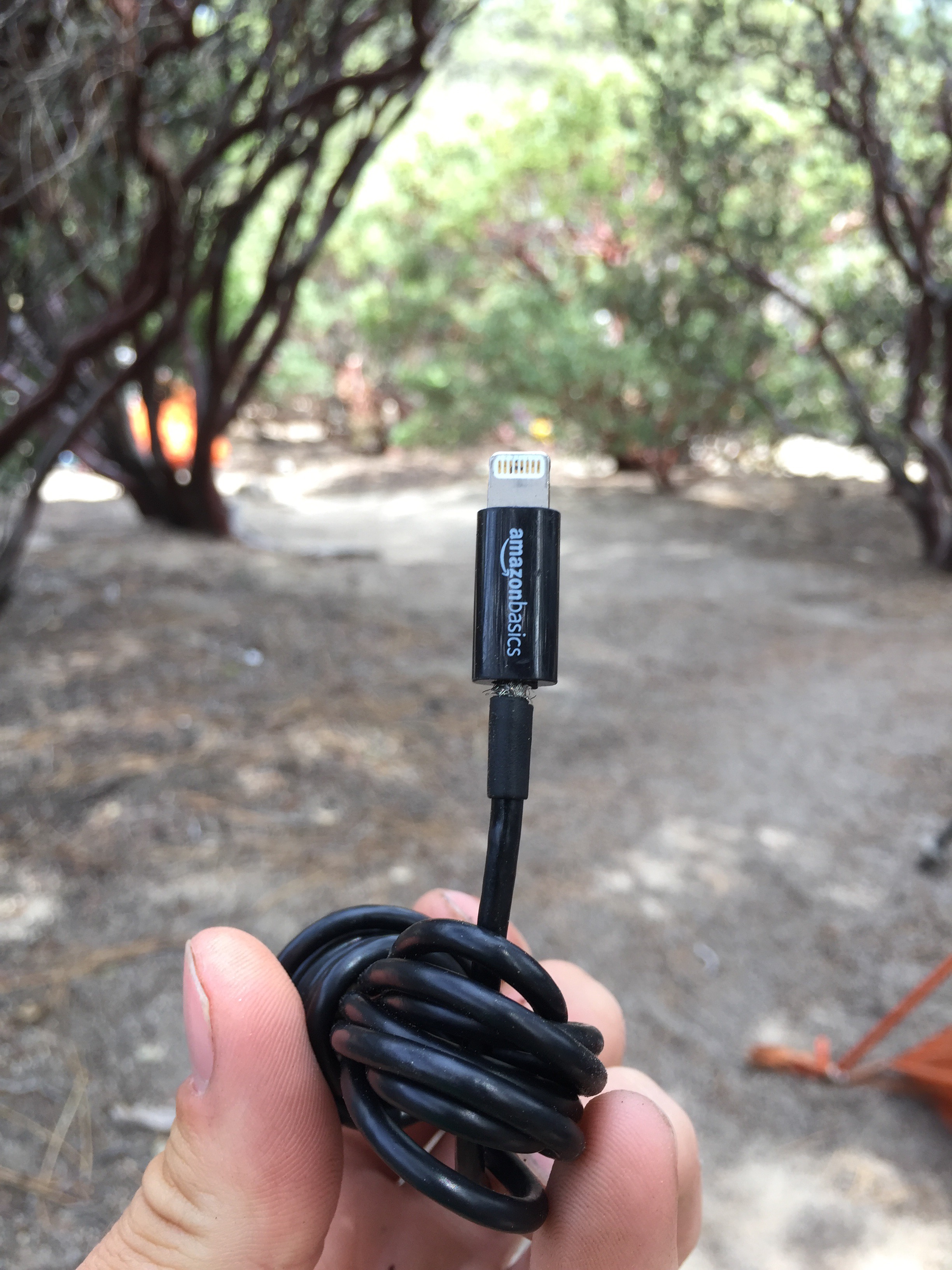 Day 9 – Nearo towards San Jacinto